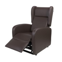Exotic armchair with elevation: With electric recline up to 150º and use of patients and companions